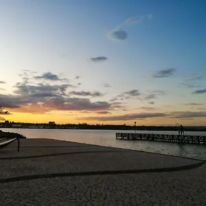 Life - Brasília